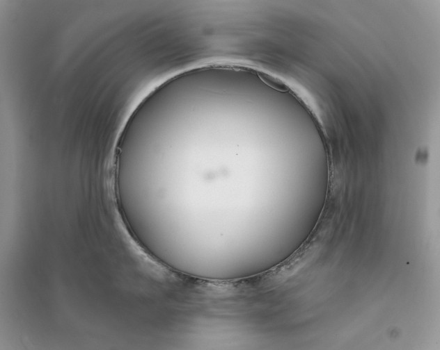 X0000094430911200711291530