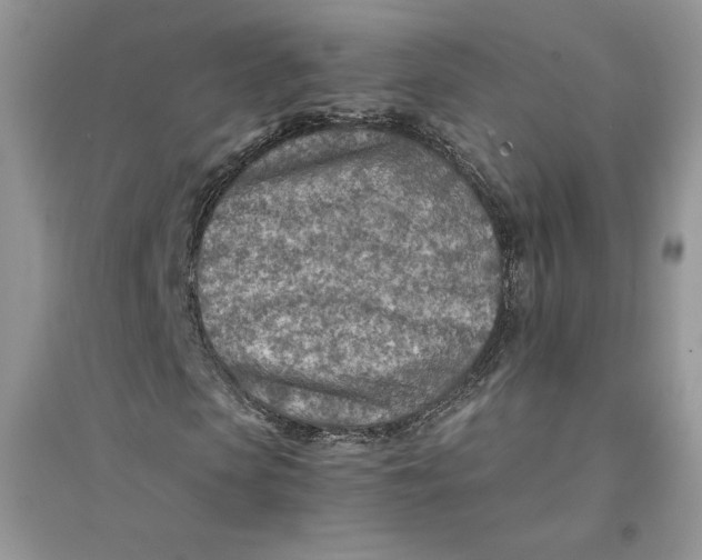 X0000094430913200711291529