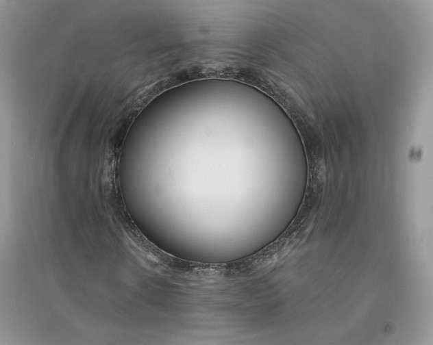 X0000094430914200711291529