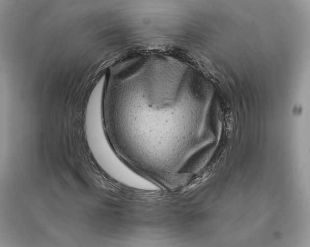 X0000094430916200711291529