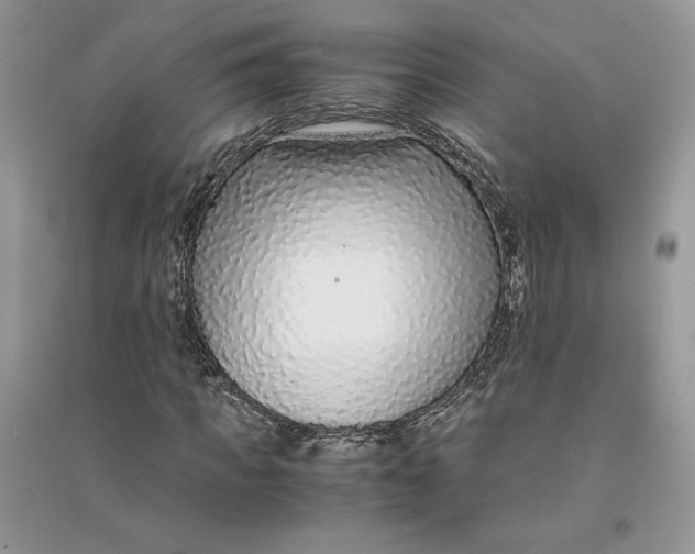 X0000094430917200711291529