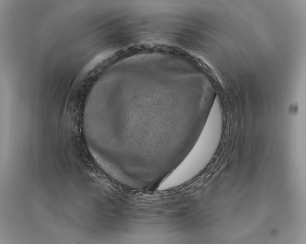 X0000094430919200711291529