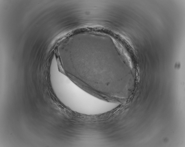 X0000094430920200711291529