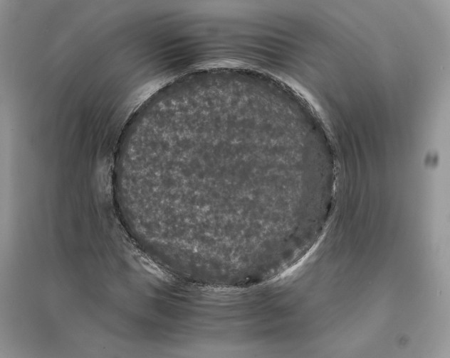 X0000094430921200711291529