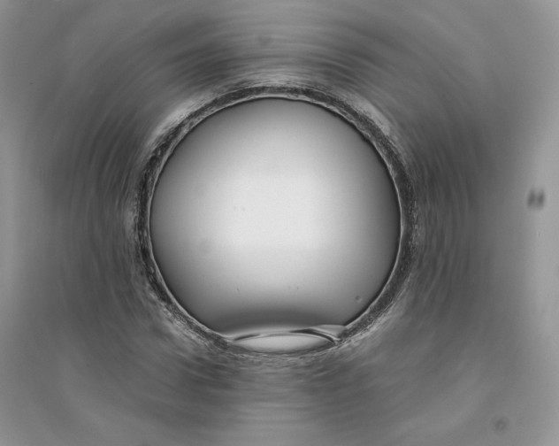 X0000094430922200711291529