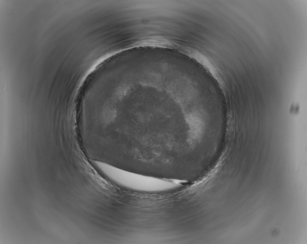 X0000094430923200711291529