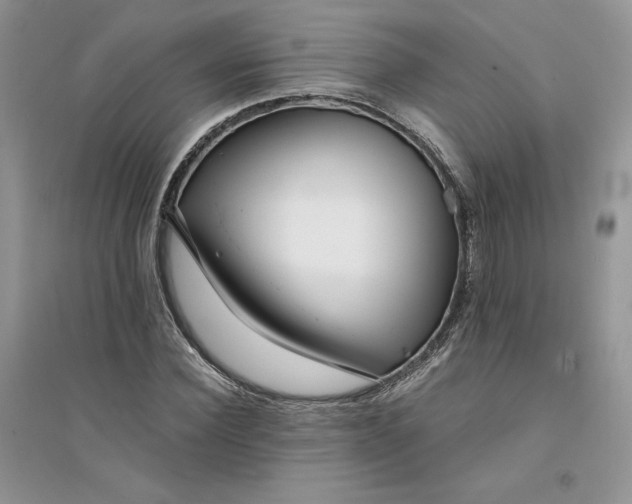 X0000094430924200711291529