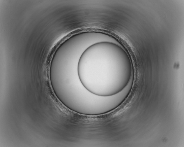 X0000094430925200711291529