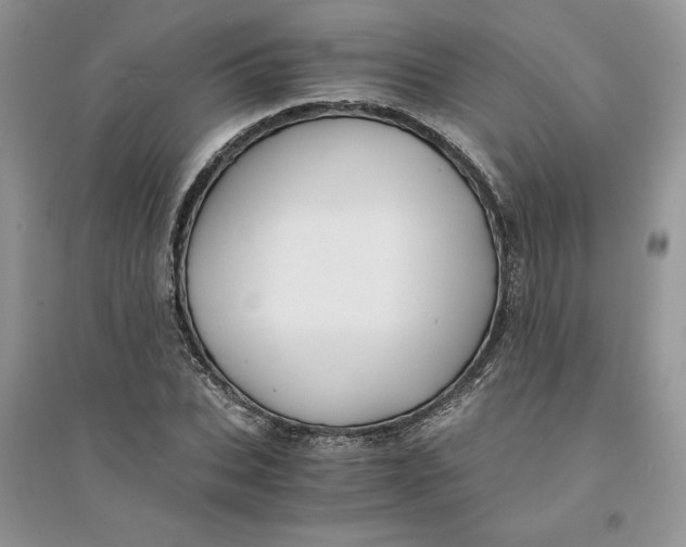 X0000094430927200711291529