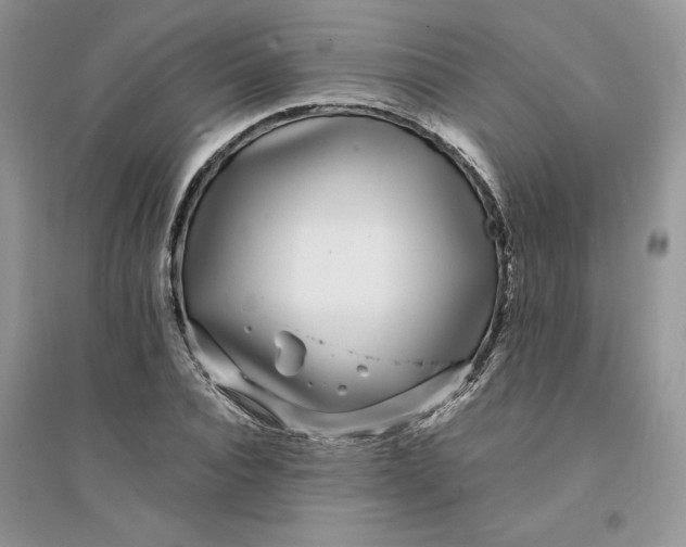 X0000094430928200711291529