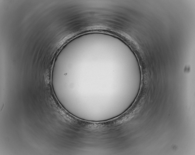 X0000094430929200711291529