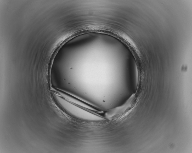 X0000094430930200711291529