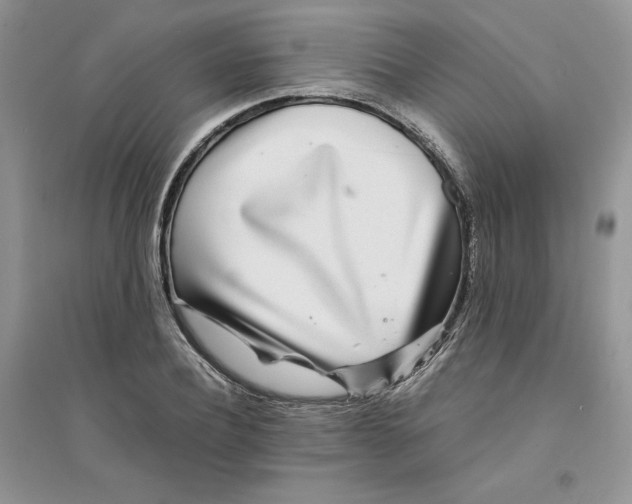 X0000094430932200711291529