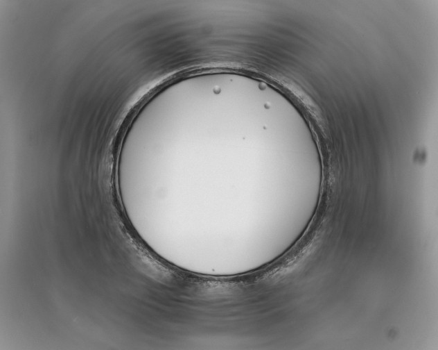 X0000094430933200711291529