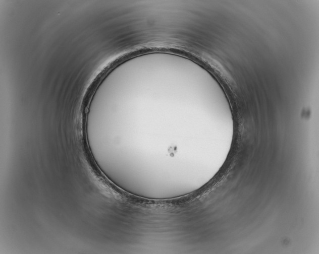 X0000094430934200711291529