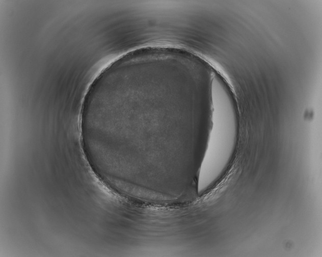 X0000094430935200711291529