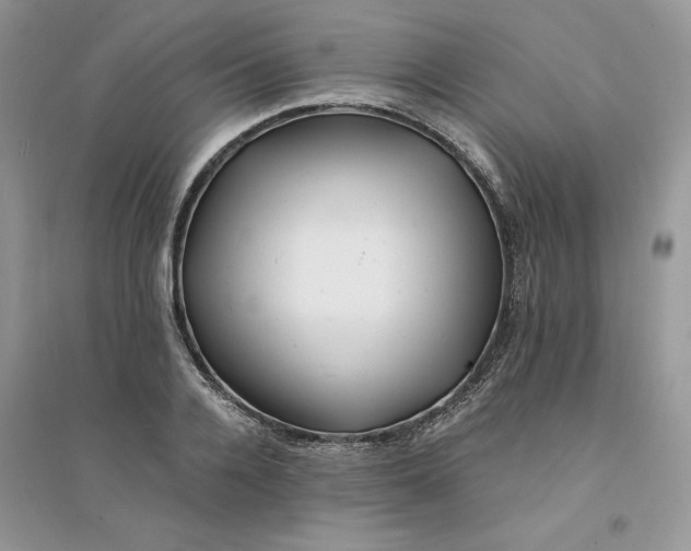 X0000094430936200711291529