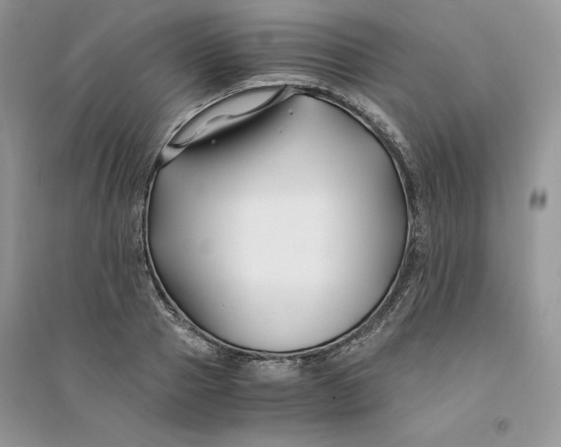 X0000094430937200711291529