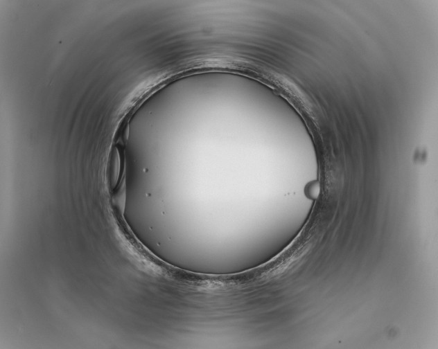 X0000094430938200711291529