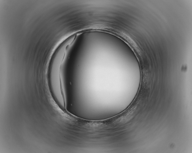 X0000094430939200711291529