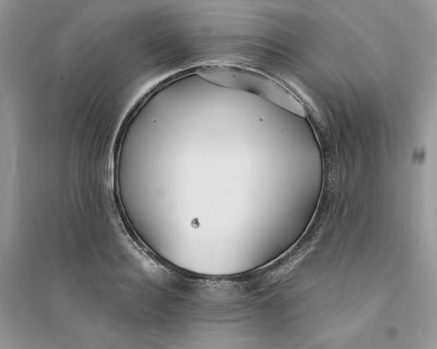 X0000094430940200711291529