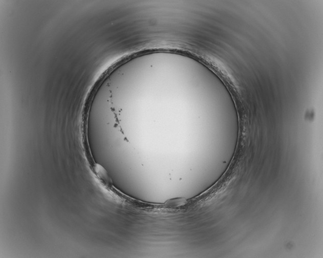 X0000094430942200711291529