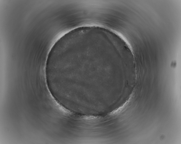 X0000094430943200711291529