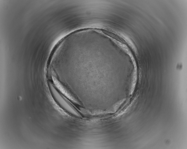 X0000094430944200711291529