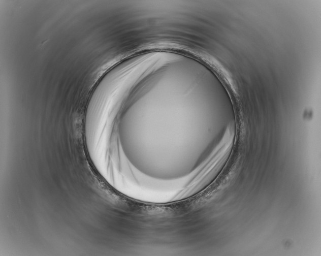 X0000094430945200711291529