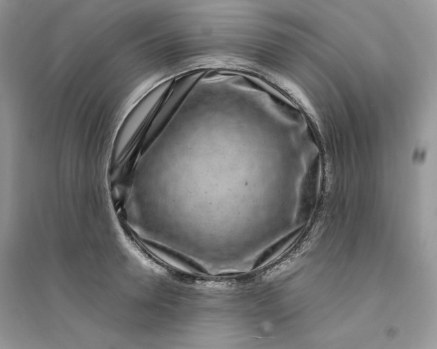 X0000094430946200711291529