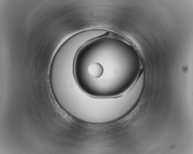 X0000094430948200711291529