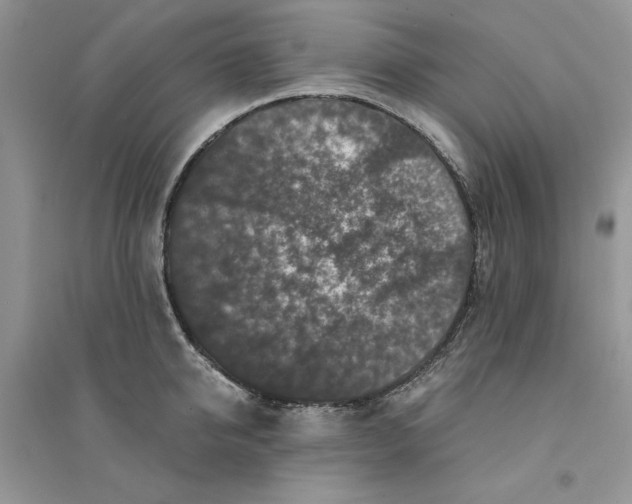 X0000094430950200711291530