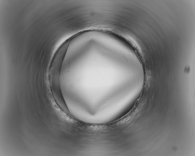 X0000094430952200711291530