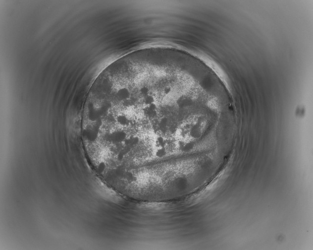 X0000094430953200711291530