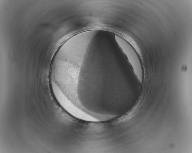 X0000094430954200711291530