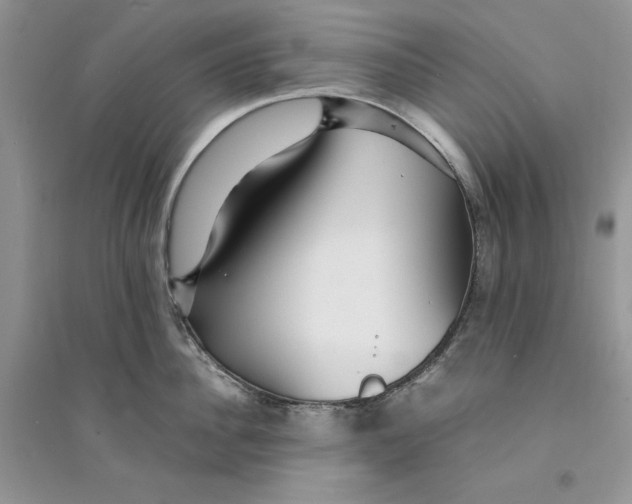 X0000094430956200711291530