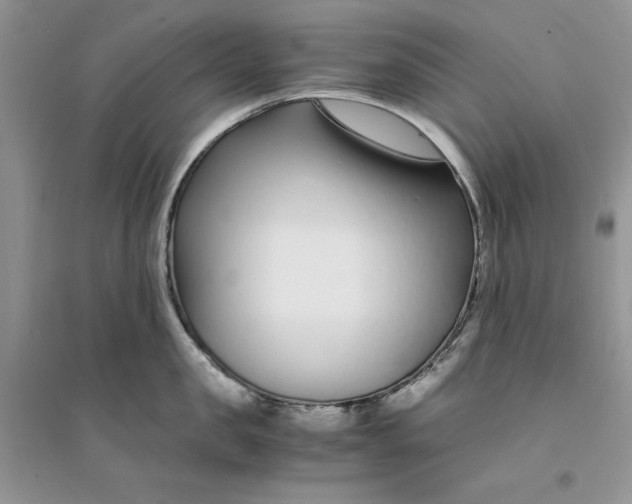 X0000094430957200711291530