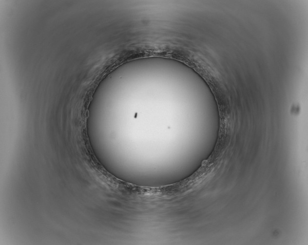 X0000094430961200711291529