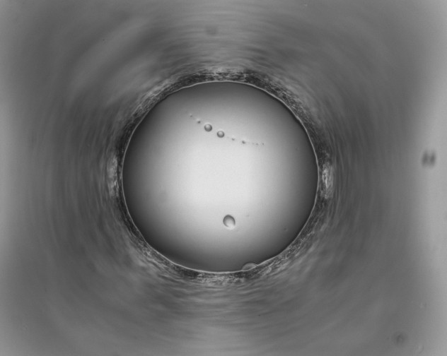 X0000094430963200711291529