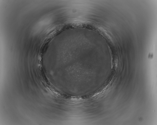 X0000094430964200711291529