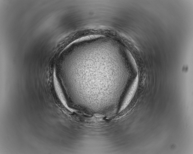 X0000094430966200711291529