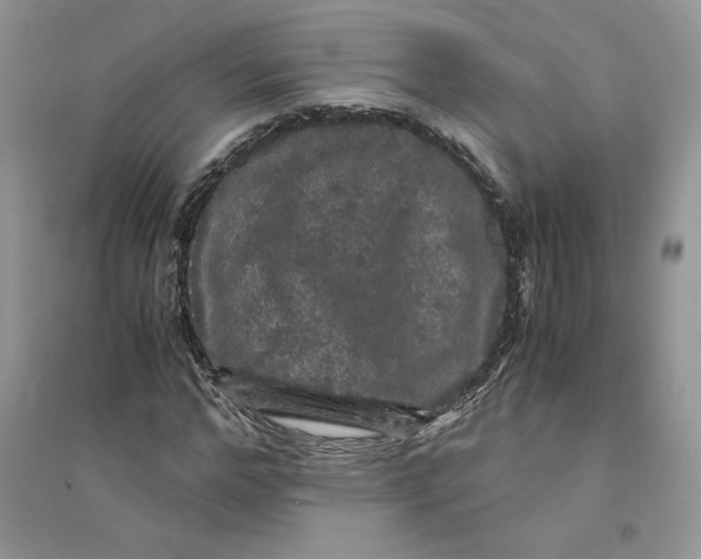 X0000094430968200711291529