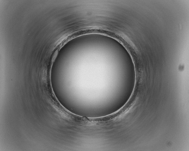 X0000094430969200711291529