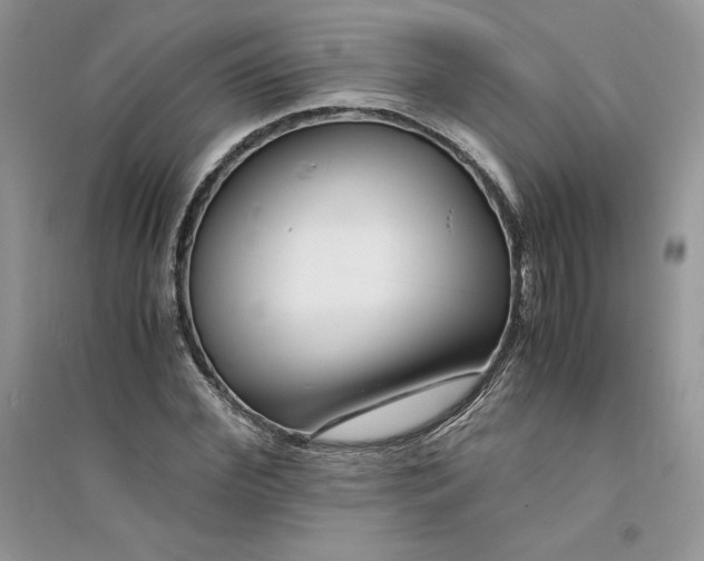 X0000094430972200711291529