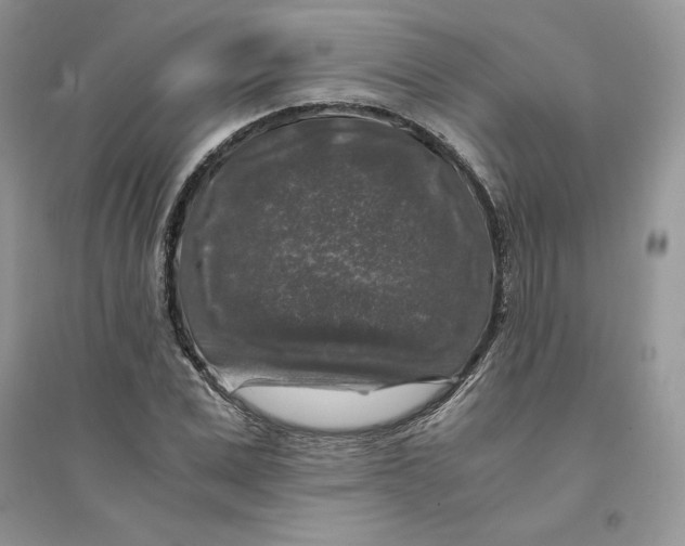 X0000094430975200711291529