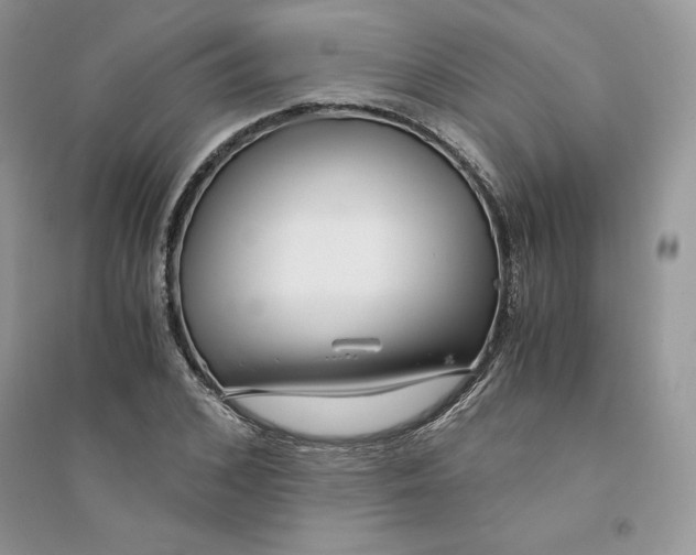 X0000094430976200711291529