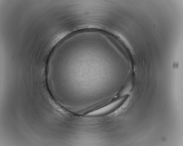 X0000094430977200711291529