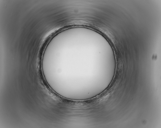 X0000094430979200711291529