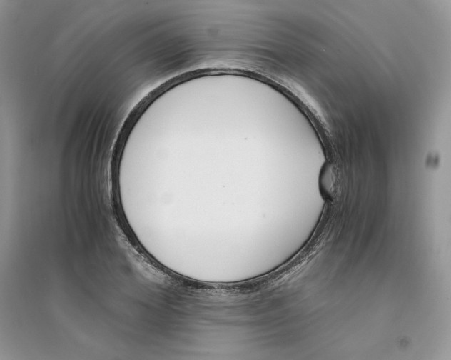 X0000094430980200711291529