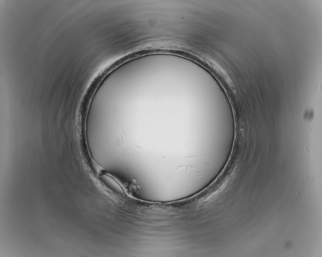 X0000094430981200711291529